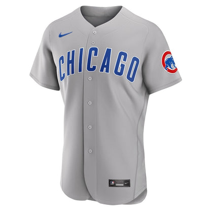 Chicago Cubs 2023 Jackie Robinson Day Elite Jersey - Gray