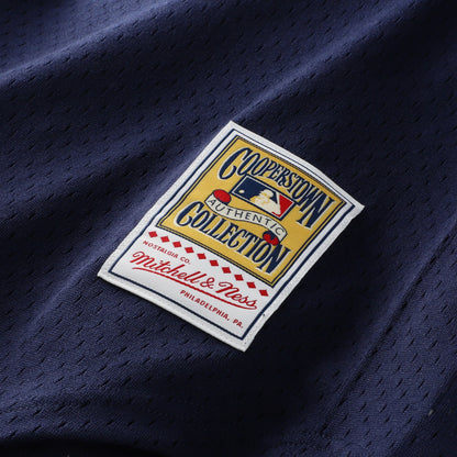 Alan Trammell Detroit Tigers Mitchell &amp;amp; Ness Authentic Batting Practice Jersey - Navy