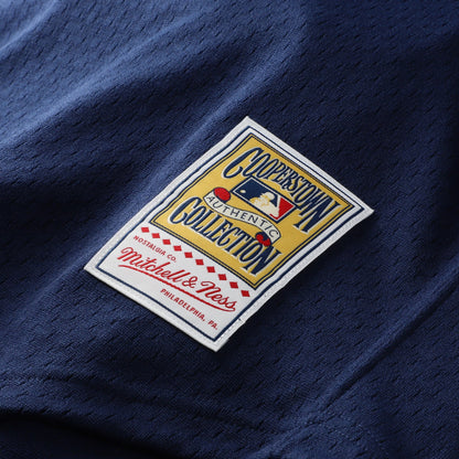 Craig Biggio Houston Astros Mitchell &amp;amp; Ness Authentic Batting Practice Jersey - Navy
