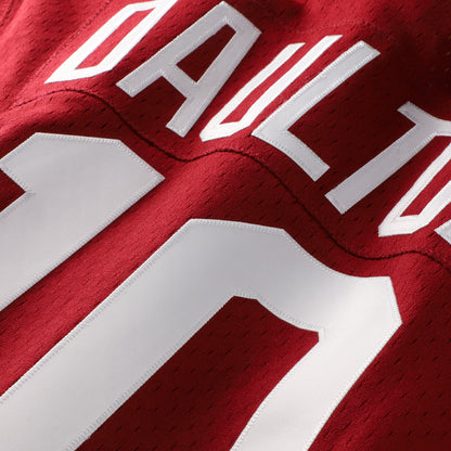 Darren Daulton Philadelphia Phillies Mitchell &amp;amp; Ness Authentic Batting Practice Jersey - Scarlet